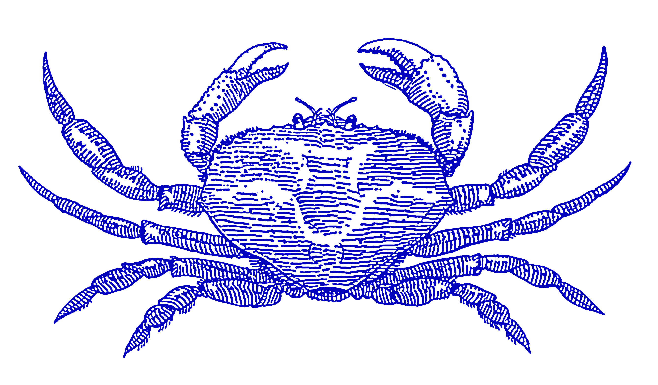 Blues Crab